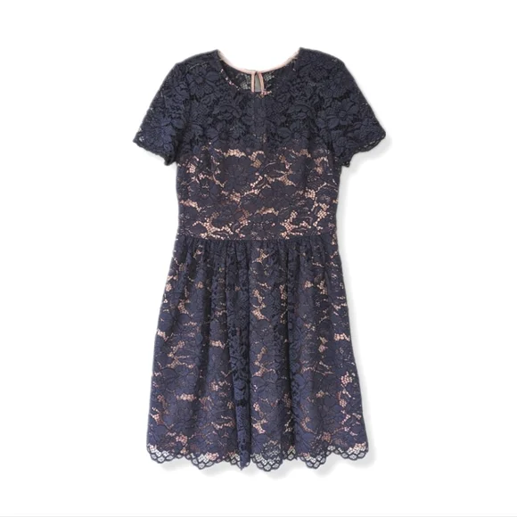 Eliza J Navy Blue & Cream Lace Fit & Flare Cocktail Dress